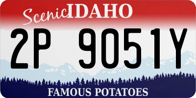 ID license plate 2P9051Y