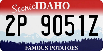 ID license plate 2P9051Z