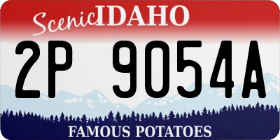 ID license plate 2P9054A