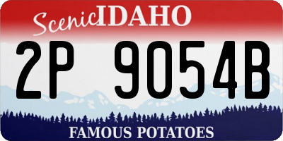 ID license plate 2P9054B