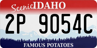ID license plate 2P9054C