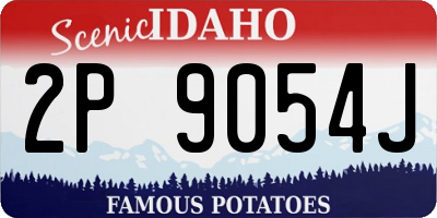 ID license plate 2P9054J