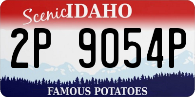 ID license plate 2P9054P