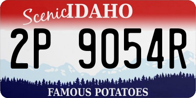 ID license plate 2P9054R