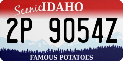 ID license plate 2P9054Z