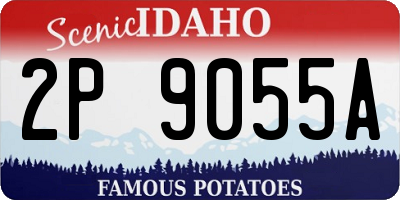 ID license plate 2P9055A