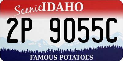 ID license plate 2P9055C