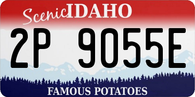 ID license plate 2P9055E
