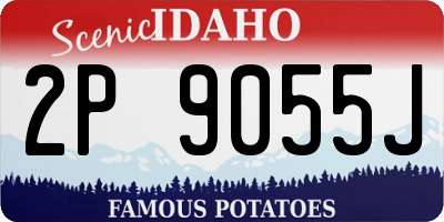 ID license plate 2P9055J