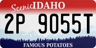 ID license plate 2P9055T