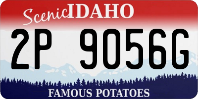 ID license plate 2P9056G