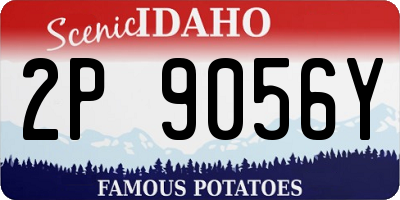 ID license plate 2P9056Y