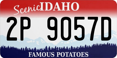ID license plate 2P9057D
