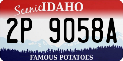 ID license plate 2P9058A