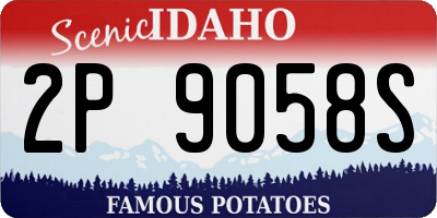 ID license plate 2P9058S