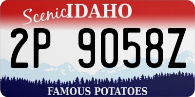 ID license plate 2P9058Z