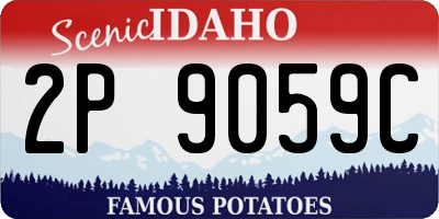 ID license plate 2P9059C