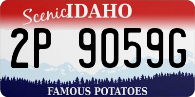 ID license plate 2P9059G