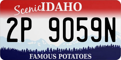 ID license plate 2P9059N