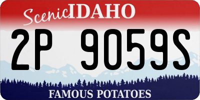 ID license plate 2P9059S