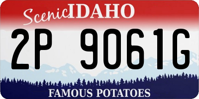 ID license plate 2P9061G