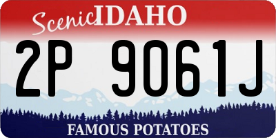 ID license plate 2P9061J