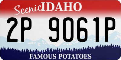 ID license plate 2P9061P