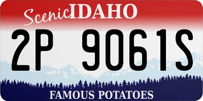 ID license plate 2P9061S