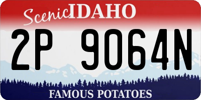 ID license plate 2P9064N