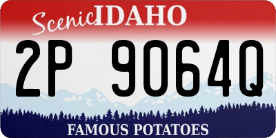 ID license plate 2P9064Q