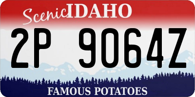 ID license plate 2P9064Z