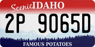 ID license plate 2P9065D