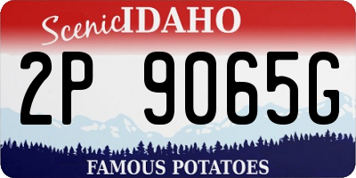 ID license plate 2P9065G