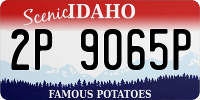 ID license plate 2P9065P