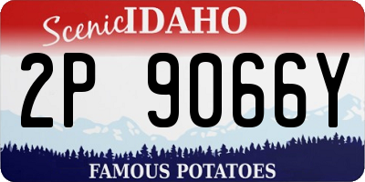 ID license plate 2P9066Y