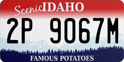 ID license plate 2P9067M