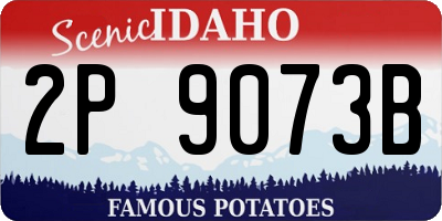 ID license plate 2P9073B