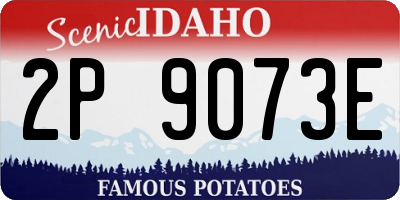 ID license plate 2P9073E