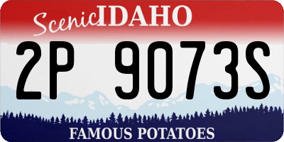 ID license plate 2P9073S