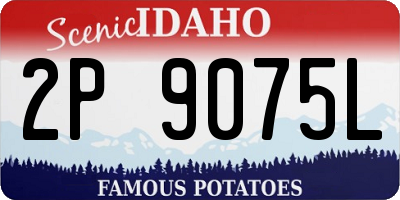 ID license plate 2P9075L