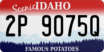 ID license plate 2P9075Q