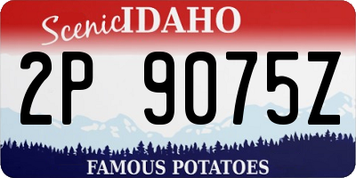 ID license plate 2P9075Z