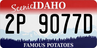 ID license plate 2P9077D