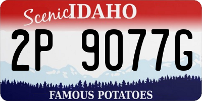 ID license plate 2P9077G