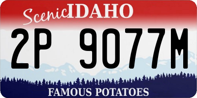 ID license plate 2P9077M