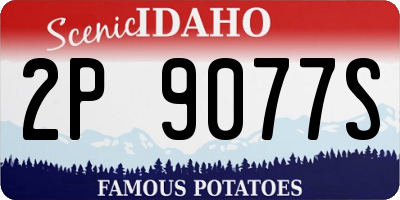 ID license plate 2P9077S