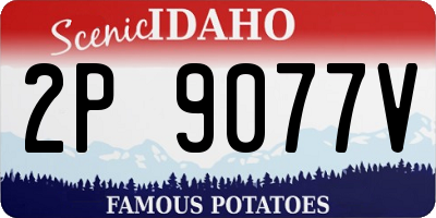 ID license plate 2P9077V