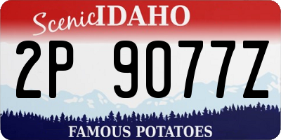 ID license plate 2P9077Z