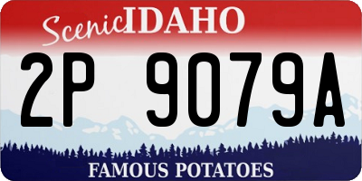 ID license plate 2P9079A