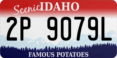 ID license plate 2P9079L